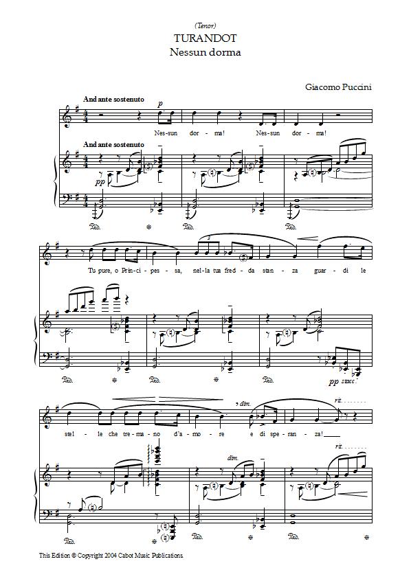 Paul Potts - Nessun Dorma Piano / Vocal Sheet Music : Sample Image for Ireland